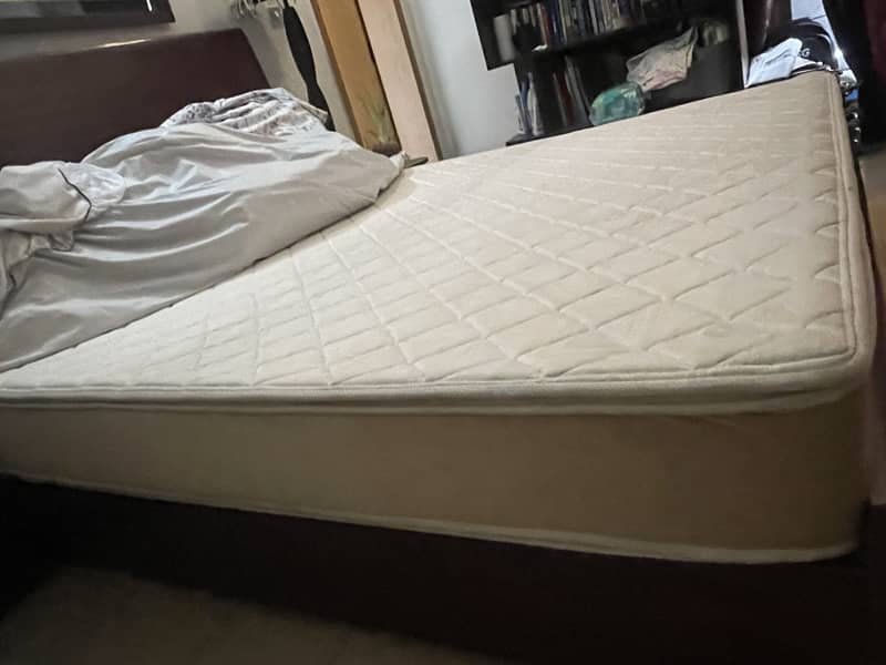 master celest plus - king size 9 inch 6