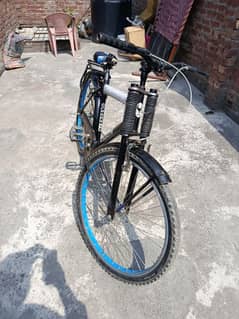 Phoenix bicycle a one condition