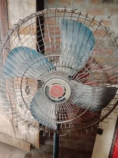 Old Heavy Weight Fan
