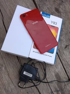 vivo
