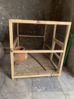 Cage use 3 months