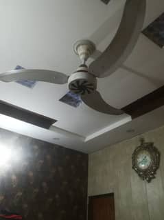 fan