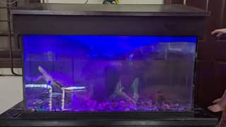 Aquarium Forsale
