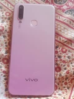 vivo