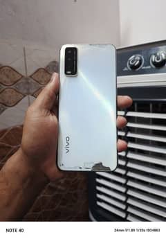 vivo