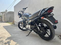 *Yamaha