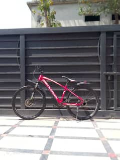26 inch Caspian cycle