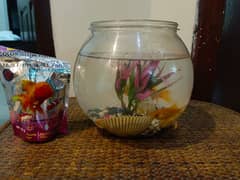 3 goldfish