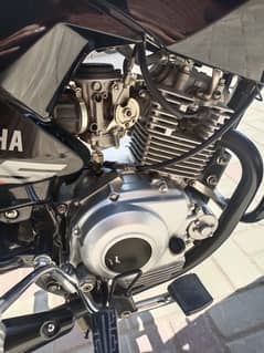 Yamaha YBR 125 2024