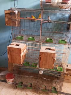 main apna pura set kar raha hun. whith cage. or box