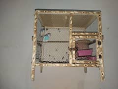 budgies pair with cage and box