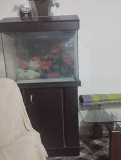 FISH