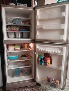 Pel Desire Infinite Full Size Refrigerator Brand New Condition
