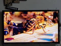 Sony 46" 3D LED TV | Full HD | Made in Malaysia