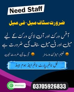 Need Male And Female Staff