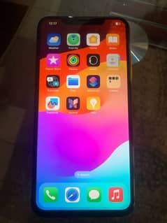 iPhone 11 Pro Max 257 GB