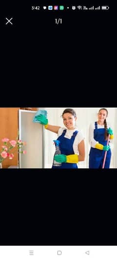 provide domestic staff