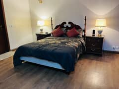 1 BHK furnished Luxurious apartment daily basis and weekly