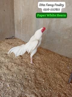 Heera