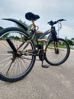 MOUNTAIN BICYCLE ALL CUSTOM MADE LIGHT EVERYTHING WORKING