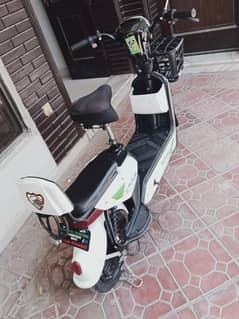 Battery wali Scottie for sale in E. 11