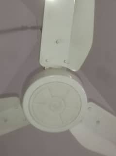 Celling fans for sale