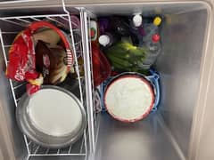 Freezer 91998 R600A
