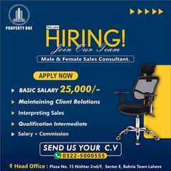 Hiring Male and Female in Real estate Sector