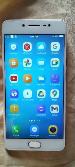 Vivo