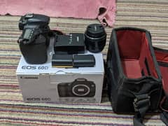 CANON 60D CAMERA BODY + 50 mm lens + SOFT BOX