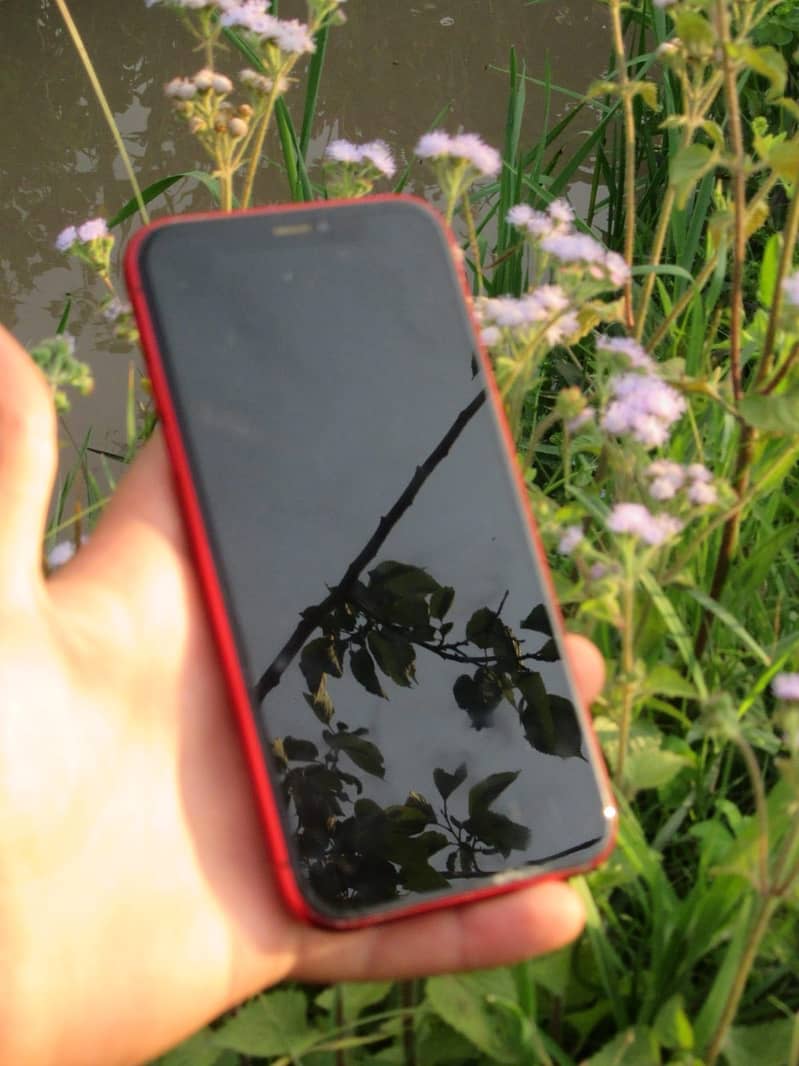 iPhone XR read color non PTA Exchange Ofer 1