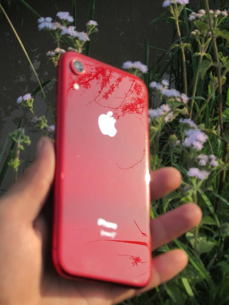 iPhone XR read color non PTA Exchange Ofer 0