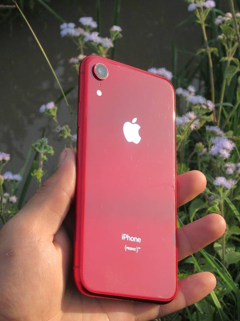 iPhone XR read color non PTA Exchange Ofer 3