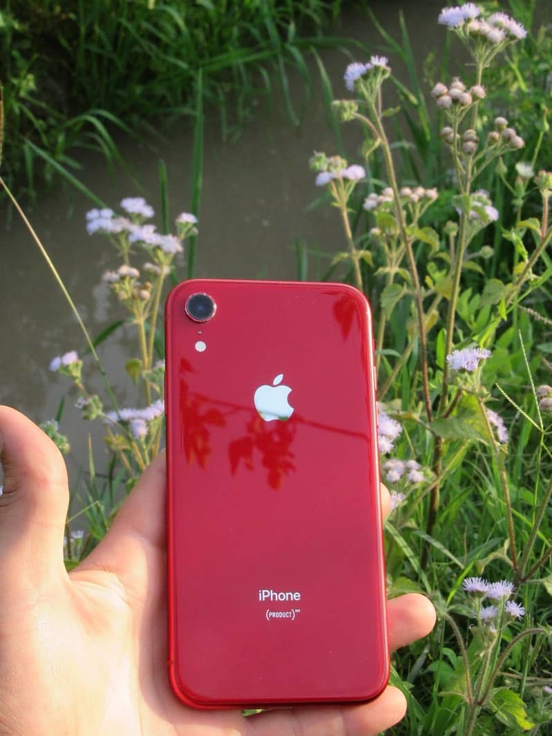 iPhone XR read color non PTA Exchange Ofer 4
