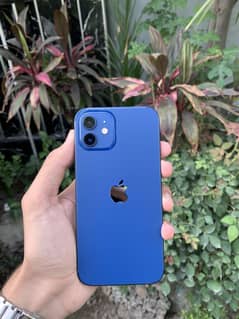 iPhone 12 256gb Pta