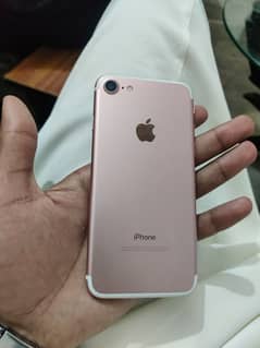 03291920431