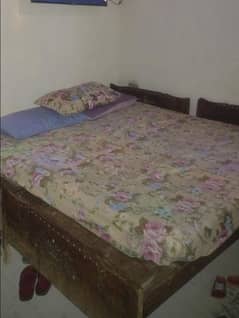 2bed hai