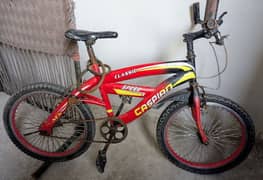 Caspian Bicycle BMX