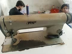 Darzi