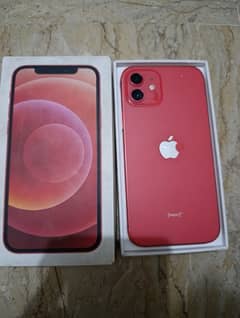 iPhone 12 with box