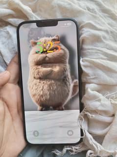 iphone 14plus