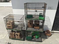5 portion master cage