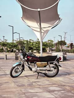 HONDA CG125 - Self Start (Special Gold Edition)