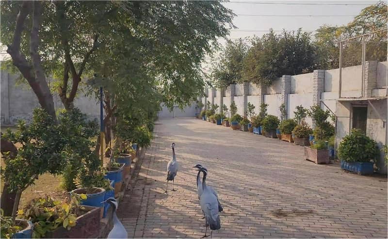 7 kanal Plot with Building on Main Express Way Interchange Big Front On Rent 8