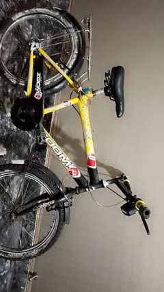 Zoom cycle 20 inches