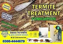Termite,