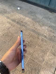 For