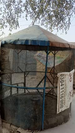 Birds cage