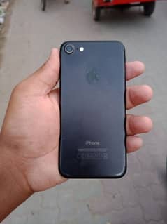 Contact No :03376268258