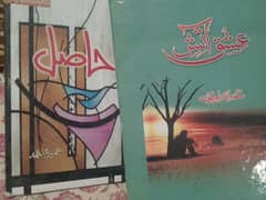 novel